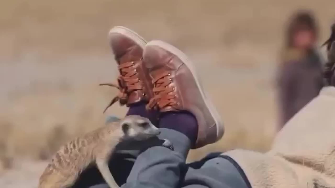 Have you ever seen such friendship?