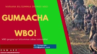 Gabaasa Gumaacha ONM-ABO Hagayya 23-2025 itti dhiyaadhaa!