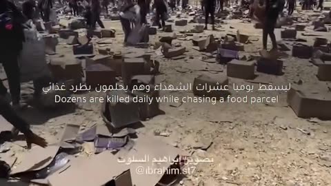 The criminal #Israeli occupation army has killed 300 #Palestinian civilians and injured over 4,500