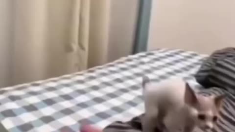 Funny funny