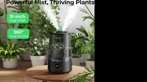 Best Humidifier for Bedroom 2025