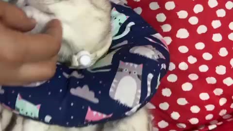 Kulit Moments with My Fur Baby