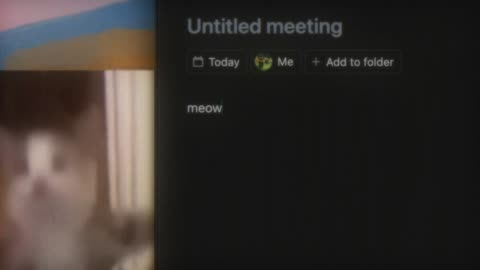 😂🐱 Cat's Working on Slack! | FunFM