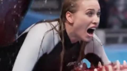 jessica radcliffe accident original video | jessica dolphin show incident #jessica #dolphin