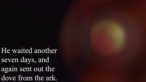 Genesis Chapter Eight