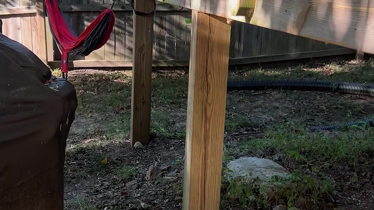 Toe Beans Dangling Off The Deck