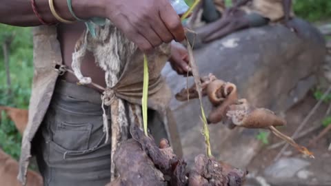 Hunting and cooking a bush pig (Potamochoerus larvatus)