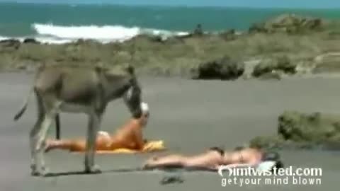 Whatching this Video could send You to HELL!