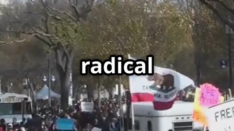 Political Violence in the U.S.: Can We Step Back from the Edge
