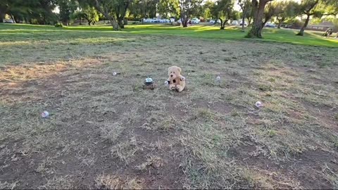 🧸👻 The Bear Moved by Itself! | TheHauntingHour