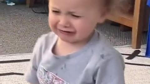 😂🐶 Dog Definitely Planned That! | FunFM