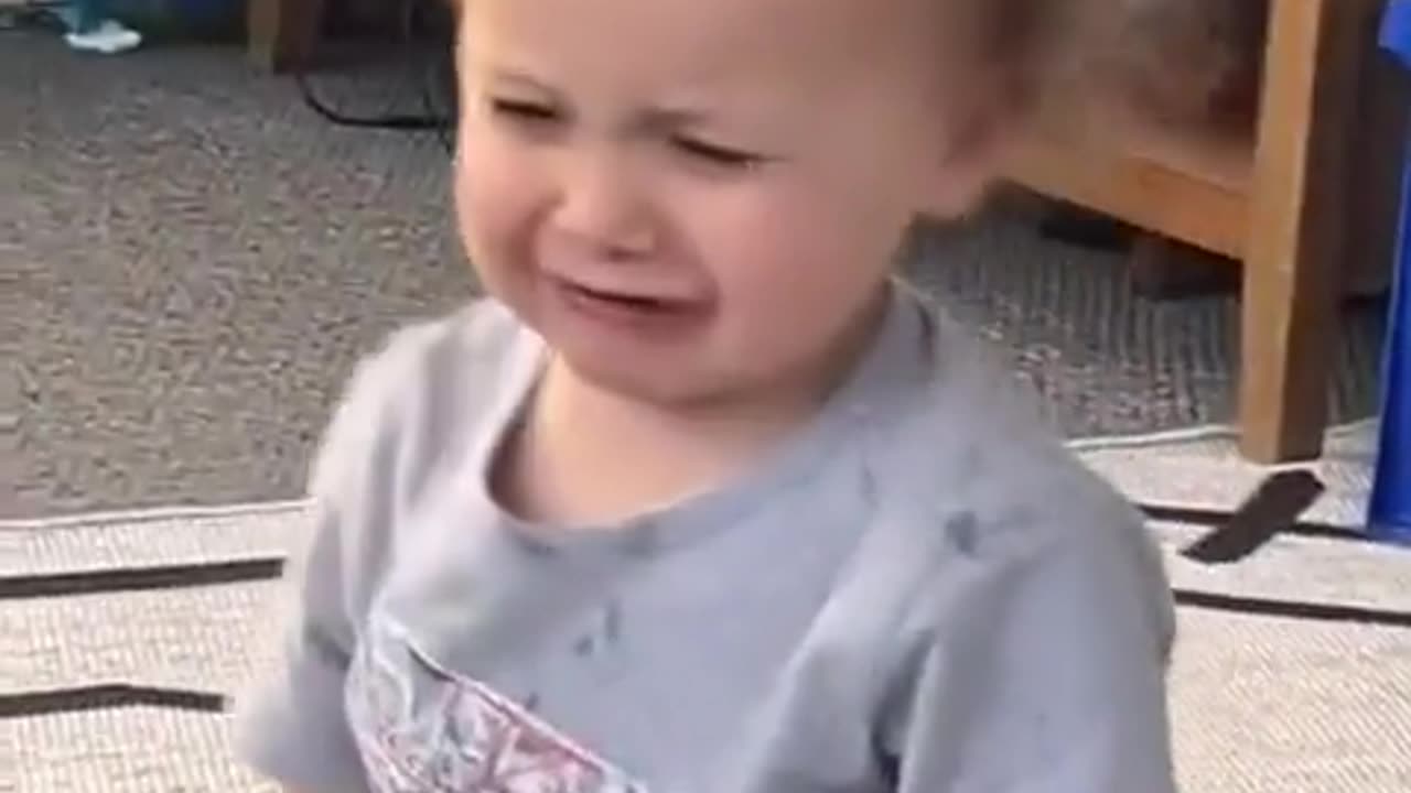 😂🐶 Dog Definitely Planned That! | FunFM