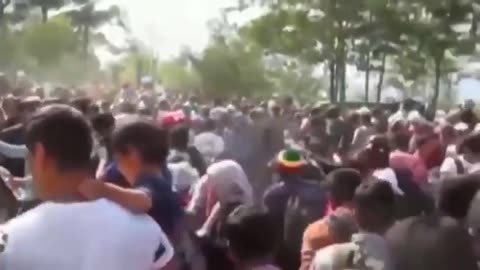 White Genocide
