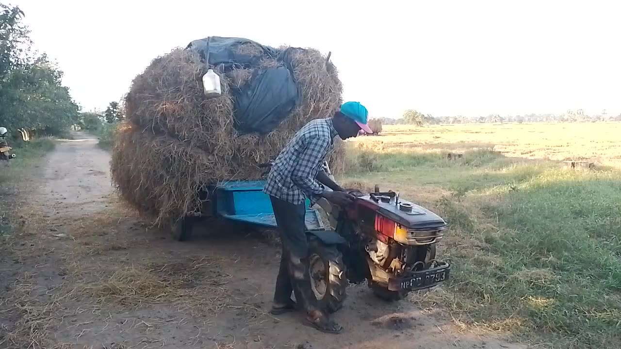Paddy farmer in nothern Sri Lanka.