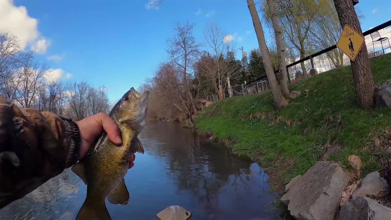 Fishing - 1st Cast - 1st Catch