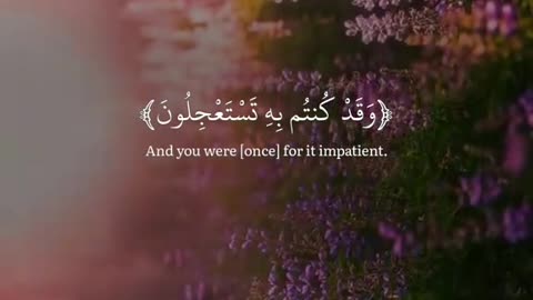 Jazakallah ♥️✨🕊️