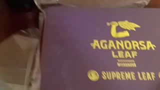 Sarge's Smoke Break #32: Unboxing Cigar Order From Cigars Daily On 5 July 2025
