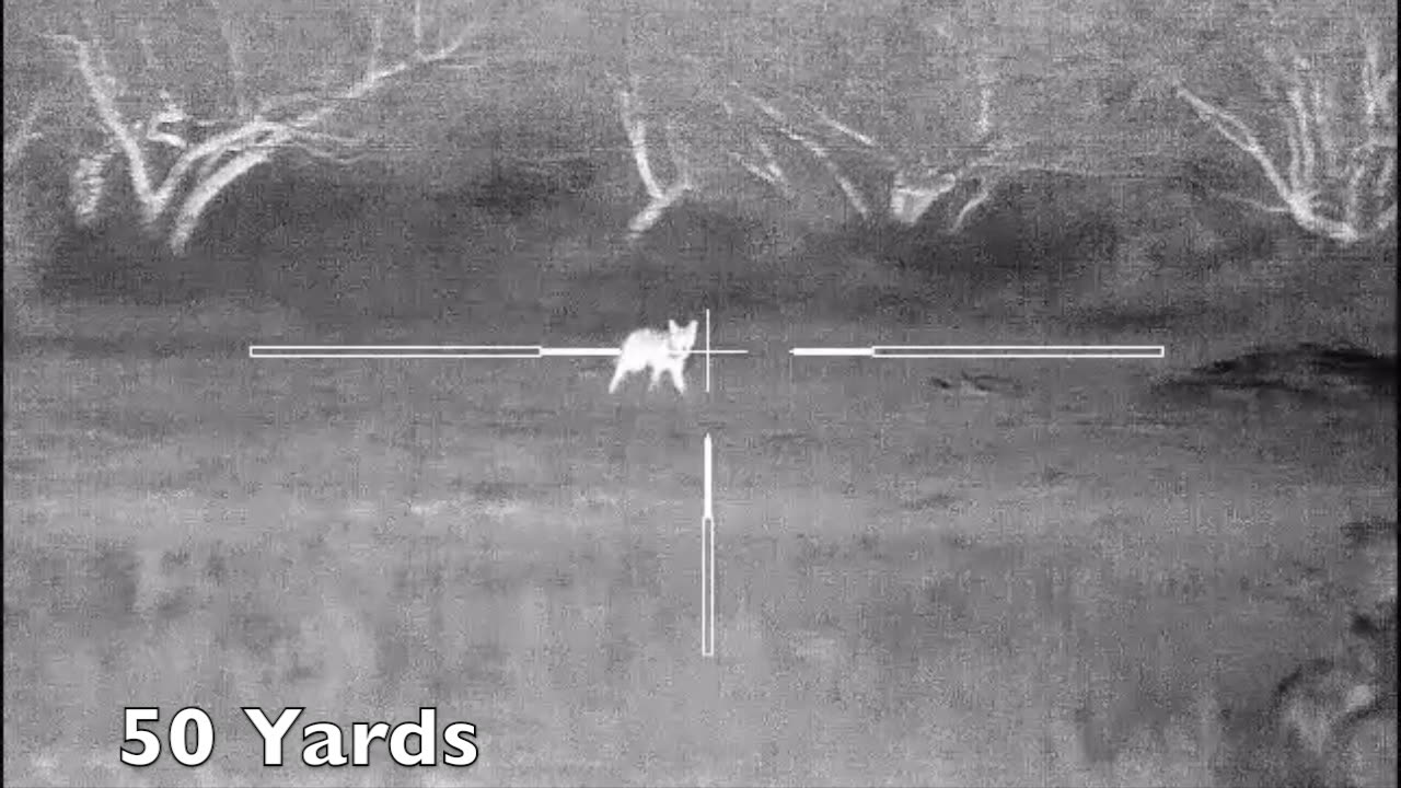 27 Creedmoor AI Coyote & Hog Hunt