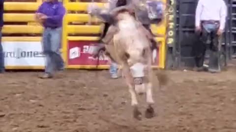 Rodeo Archive 07/08/2023
