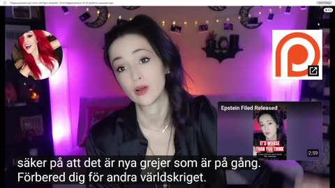 Vidriga saker i Epsteinfilerna