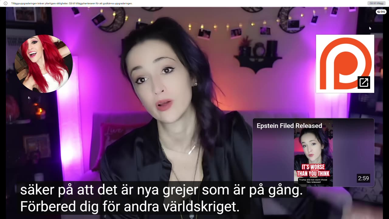 Vidriga saker i Epsteinfilerna