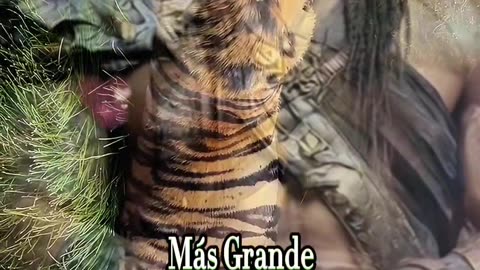 REFLEXIÓN 💫 🤍 🙏 ❤️ ♥️ 💕 💫 🤍 🙏 ❤️ ♥️ 💕 💫 🤍 🙏