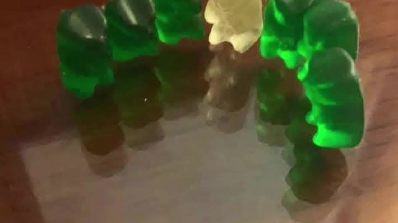 Gummy bear wars.