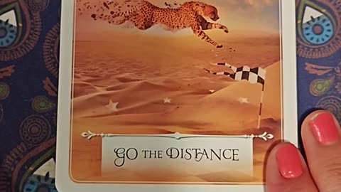 Oracle Card Reading 7/6/25
