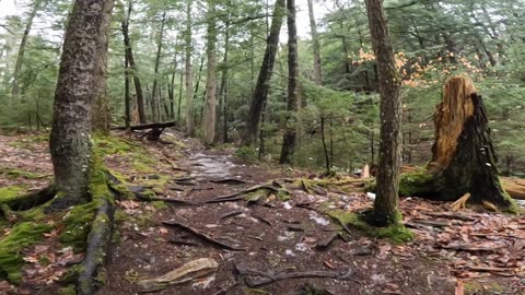 Take a Hike