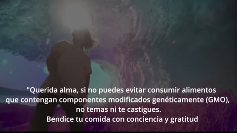 Los Centinelas y Los Guardianes: Comida transgenica
