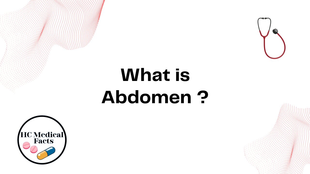 What is Abdomen ?