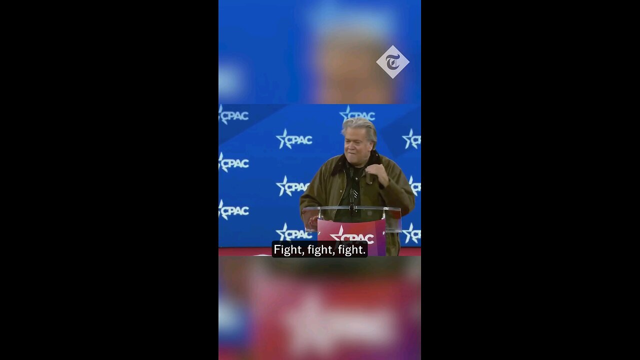 steve Bannon