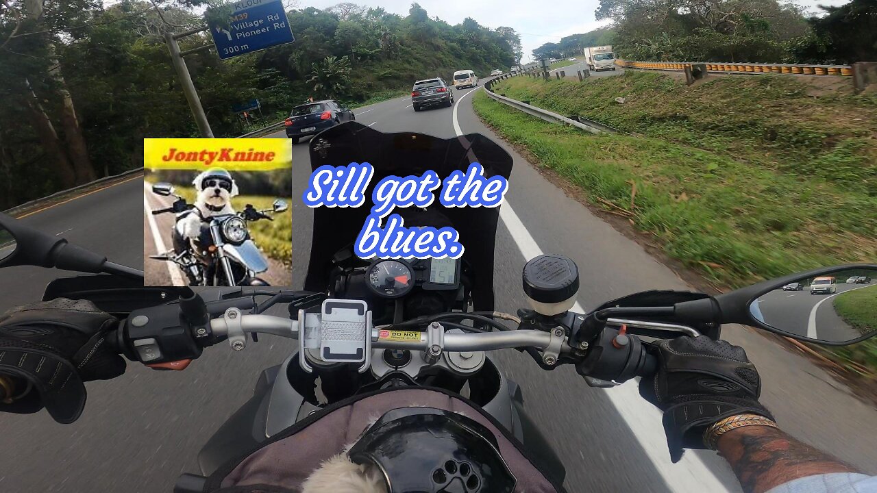 Still Got The Blues #garymoore