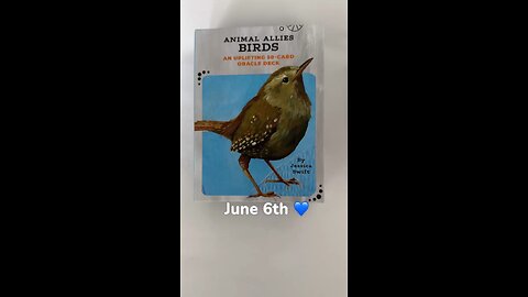 6/6/25 card: at odds