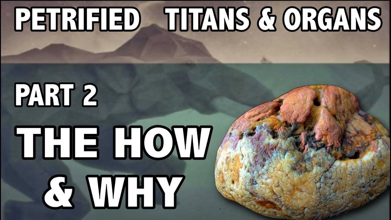 PETRIFIED TITANS & ORGANS - Pt 2 - THE HOW & WHY