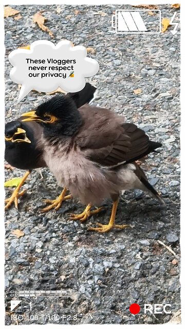 connect you to the beauty of the natural world! #ViralNature