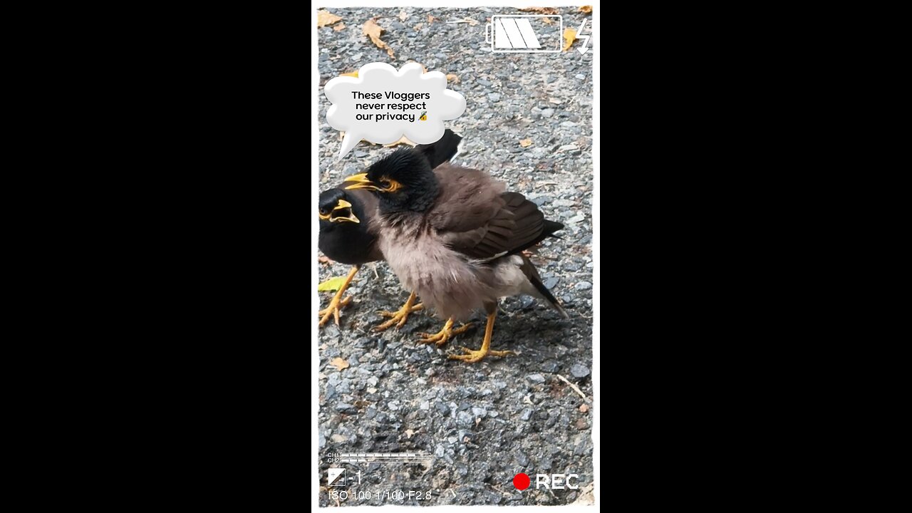 connect you to the beauty of the natural world! #ViralNature