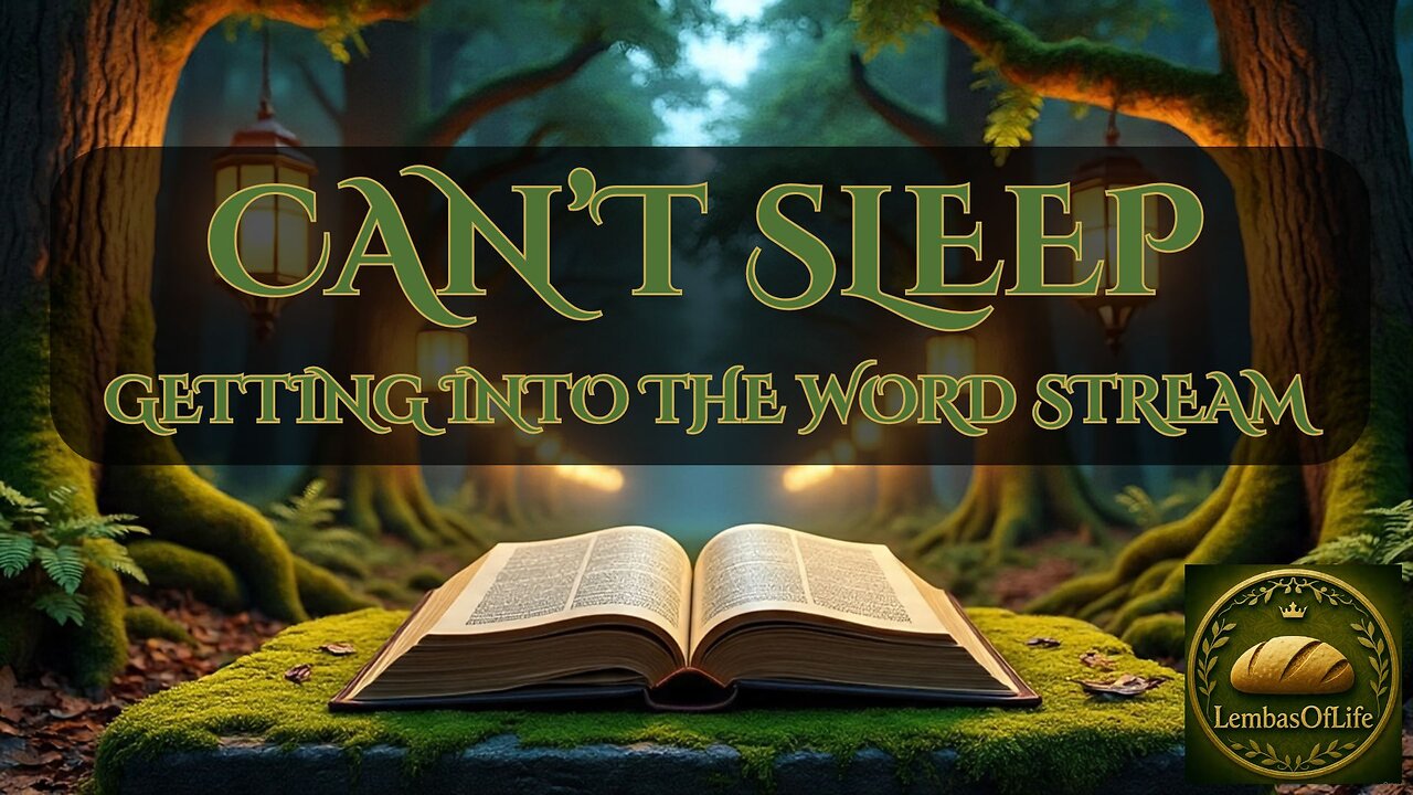Cant Sleep So Lets Get Into The Word