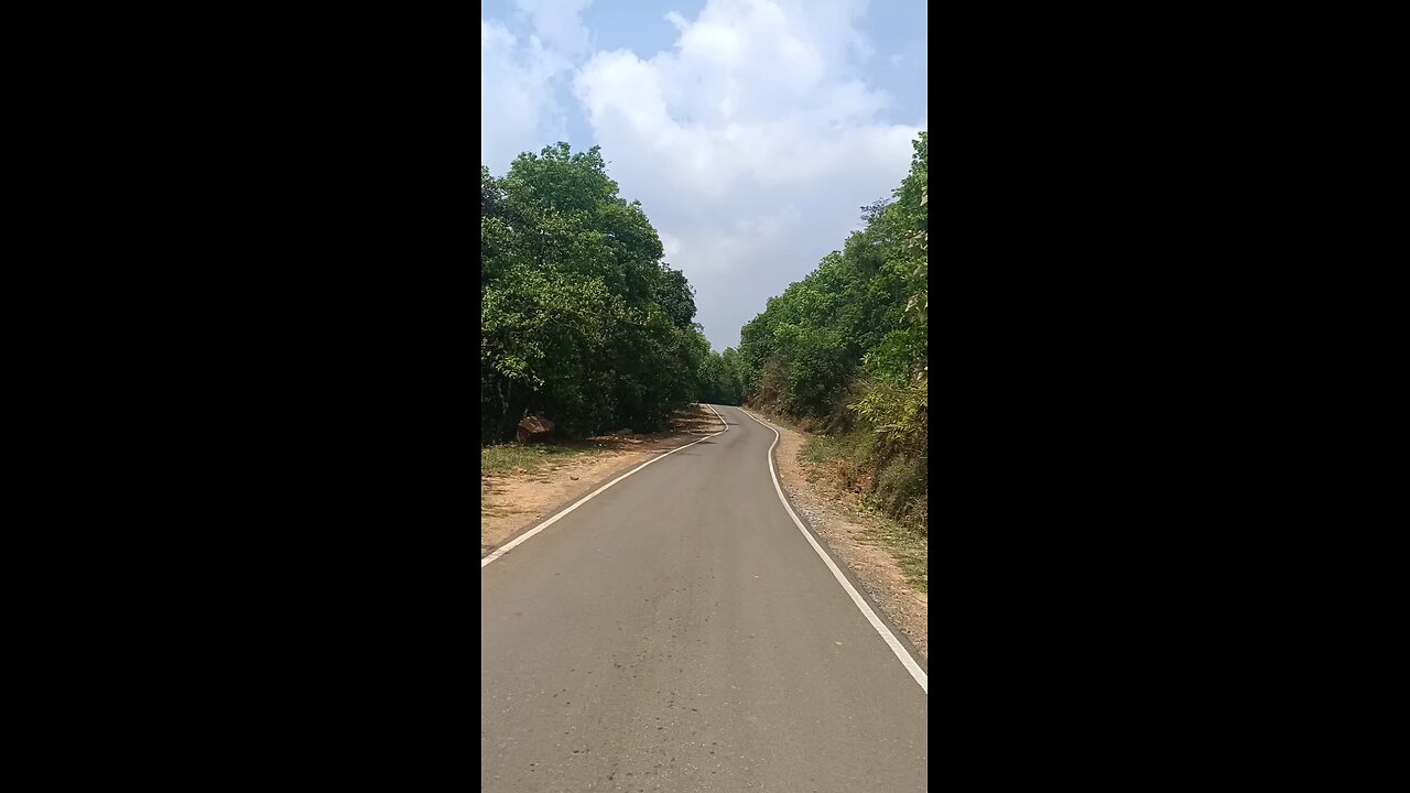 lonely drive