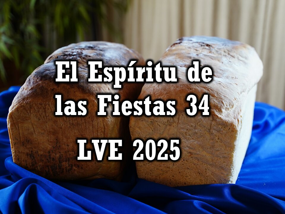 El Espíritu de las Fiestas 34