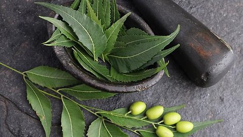 "Unveiling the Risks: Neem Oil - From Toothpaste to Sterility & Insecticide Effects"