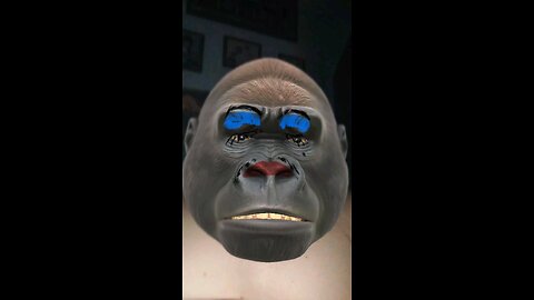gorilla fun