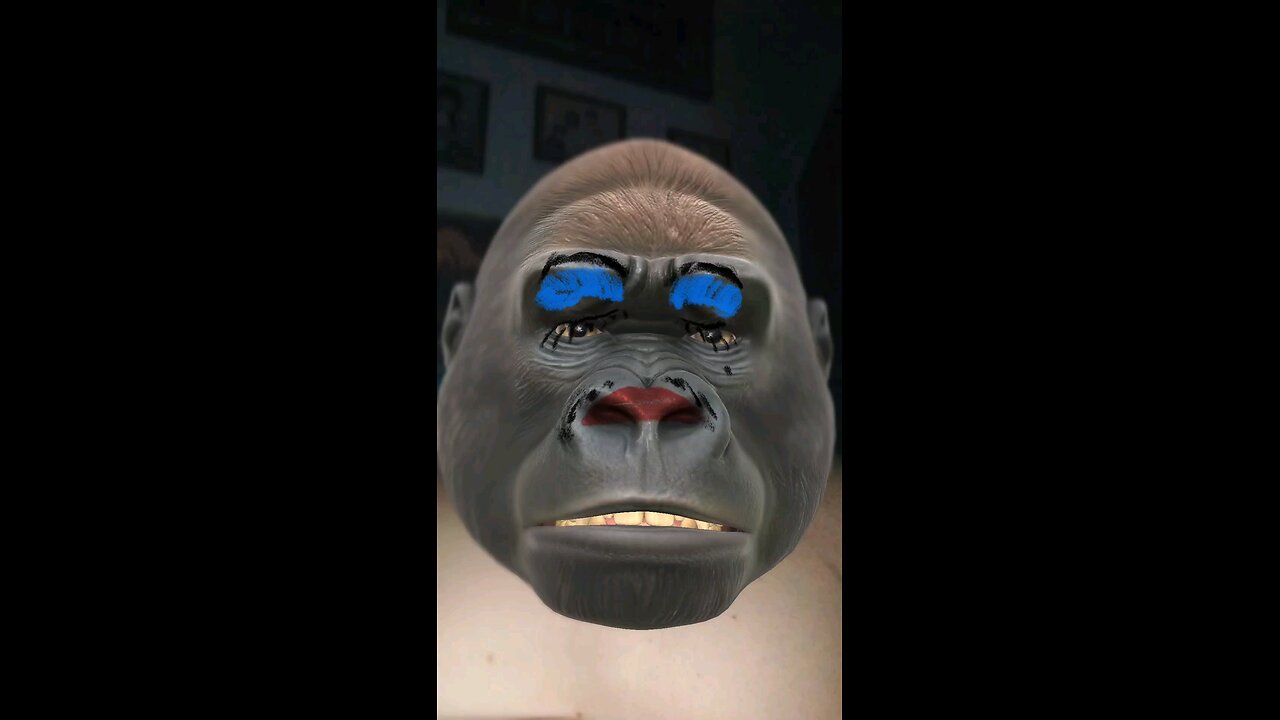 gorilla fun