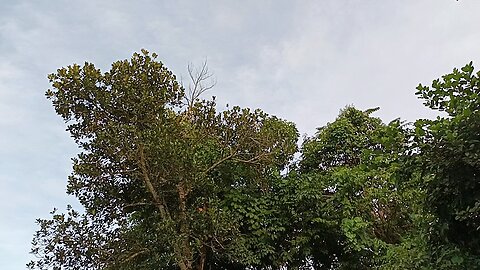 Mountainous area view