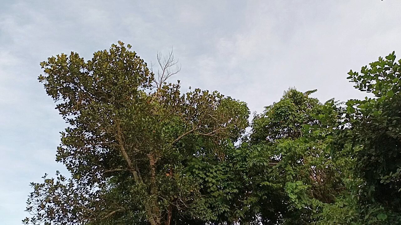 Mountainous area view