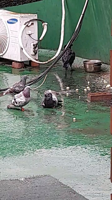 20250713. Jesus Christ With me.