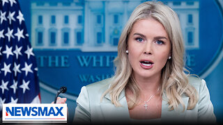 Media underreported stabbing because it didn't 'fit a preferred narrative': Karoline Leavitt