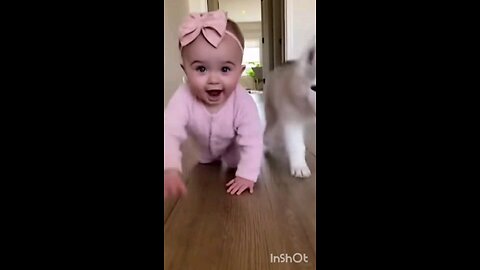 a little baby and his playful puppy start the cutest race ever