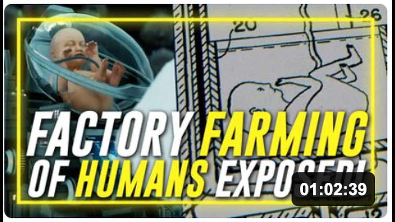 Births Exposes The Factory Farming