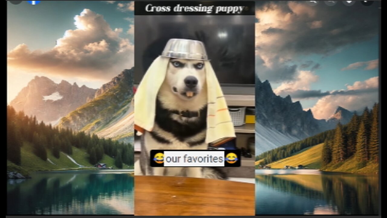 our favorites